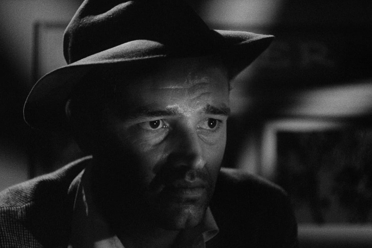 The exp. Dispatch #5